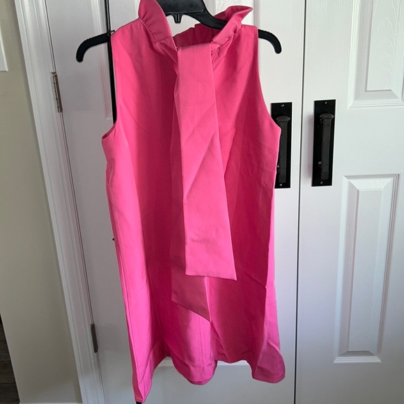 Hot Pink Blythe Dress
TUCKERNUCK - Picture 7 of 12